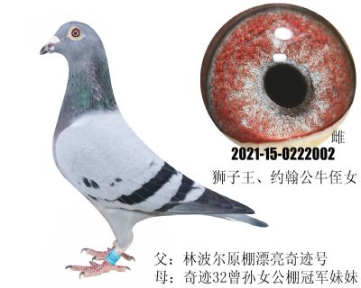 ֲԭƯEֱ̖Ů{ֶŮ피