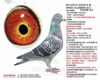 ԭ^ϯS˹شСֱO700ֱ