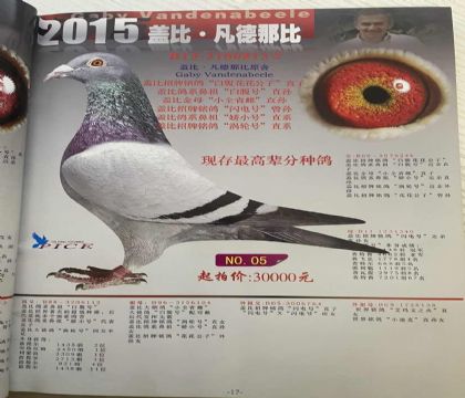 2015ꮔ(dng)r(sh)u(mi)(y)