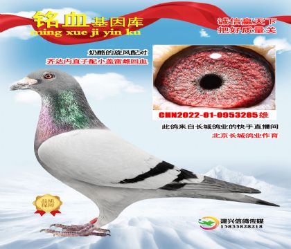 LǣR_(d)(ni)ֱXСw״ƵĽHѪ285