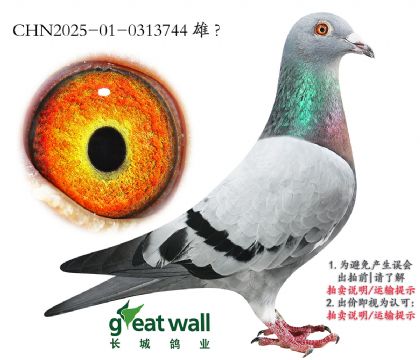 2.ñӑxr(sh).0313744