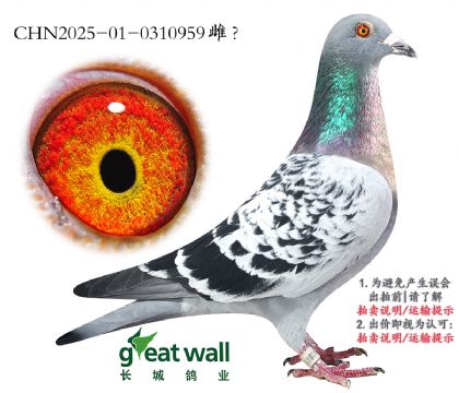 4._(chung)C63Ӵ.0310959