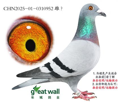 9.LǛQِ87Ӵ.0310952