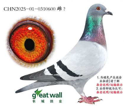 16.\@Qِ9ȫƽ݅.0310600