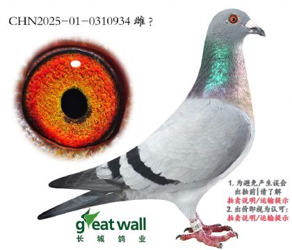 15._(chung)܊O.0310934