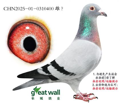 19.ñӑ򷨽ѪӴ.0310400