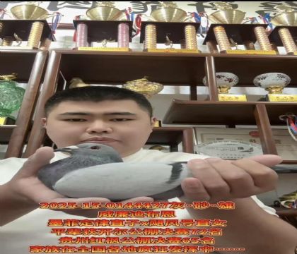 ɽ^(q)ϲīƶɡֱXZL(fng)ֱ̖Ů