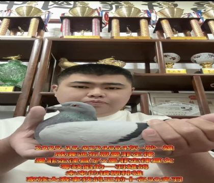 ɽ^(q)ǣϲīƶɡֱXīƶɡֱŮ