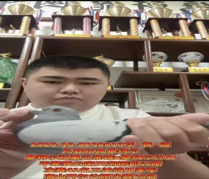 ٷ(wn)ǲˡؠpؽHۡXؠOŮ