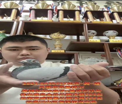 ٶȣǲˊWƥ˻ؠ006ֱXؠOŮ