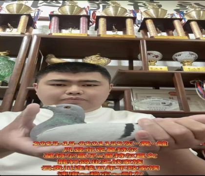 FxǲˡؠֱXؠֱŮ