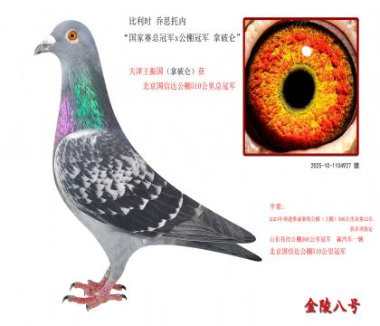 4r(sh) ˼Ѓ(ni)(gu)ِ܊x܊ Ɓ