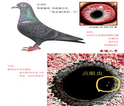 6r(sh) ˹˹.ȂڽXڱһ̖(ho)