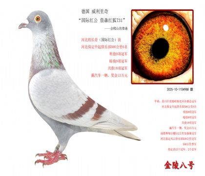 7(gu) 桰(gu)Ht ղɭt731