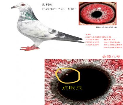 8r(sh) ˼Ѓ(ni) wū