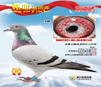 (bo)ϲB(nio)81135ĸH