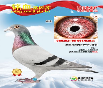 (bo)ϲB(nio)w920506ĸH