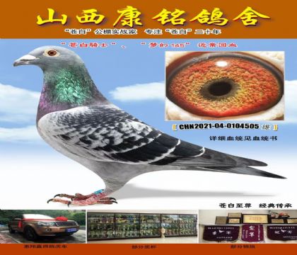 ɽ᣺·PKِ܊ƽ݅505