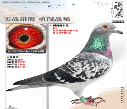 利奧744多關(guān)賽亞軍