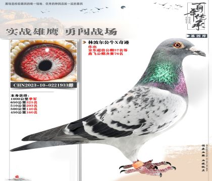 林波爾遠程季軍933