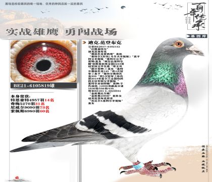 范登布克819種雄