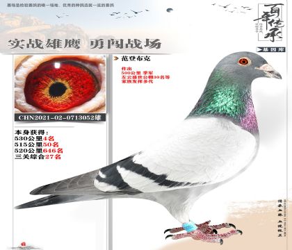 范登布克052多關(guān)賽4名