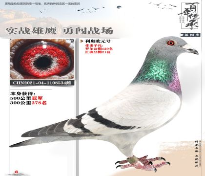 利奧歐元號亞軍534