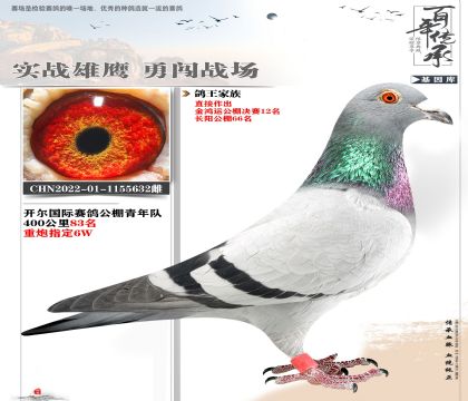 開爾青年重炮632