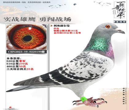 多關(guān)賽季軍利奧199