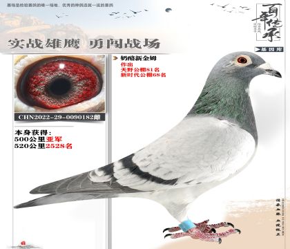 多關(guān)賽奶酪182亞軍