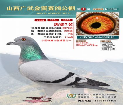 廣武金翼決賽7名