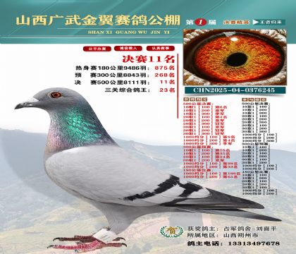 廣武金翼決賽11名