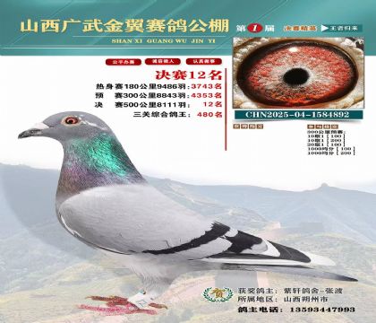 廣武金翼決賽12名