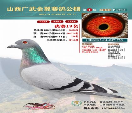 廣武金翼決賽19名