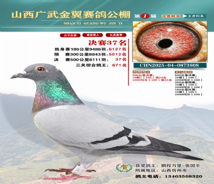 廣武金翼決賽37名