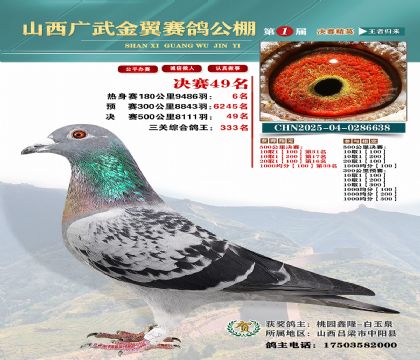 廣武金翼決賽49名