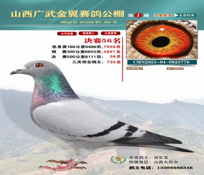 廣武金翼決賽56名