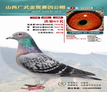 廣武金翼決賽63名