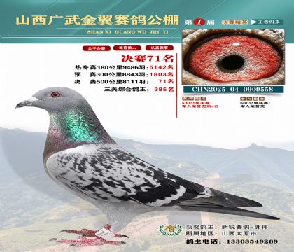 廣武金翼決賽71名