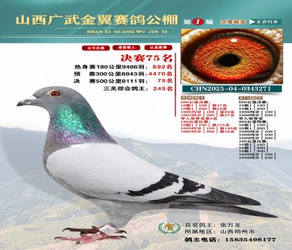 廣武金翼決賽75名