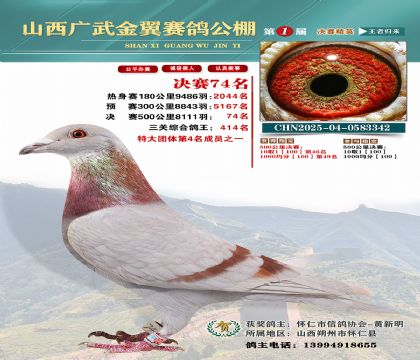 廣武金翼決賽74名