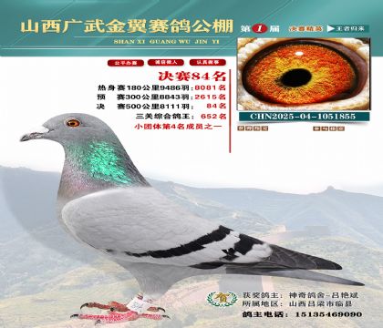 廣武金翼決賽84名