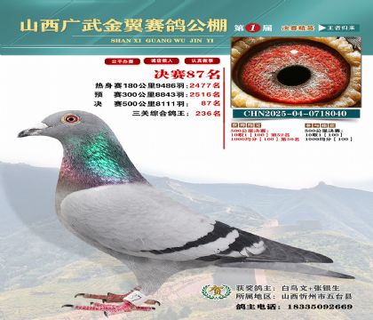 廣武金翼決賽87名