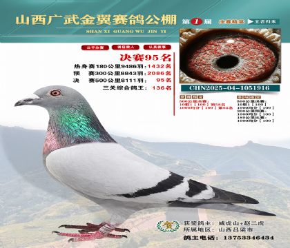 廣武金翼決賽95名