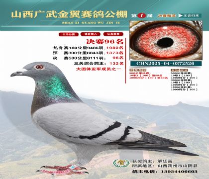 廣武金翼決賽96名