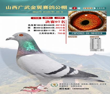 廣武金翼決賽97名