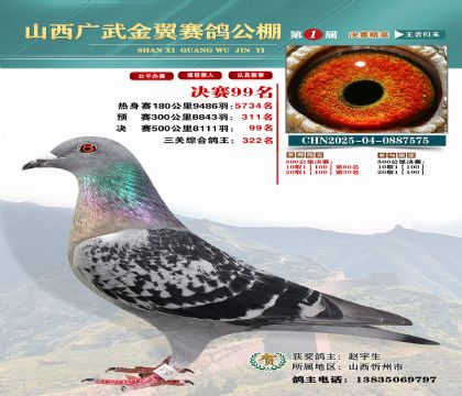 廣武金翼決賽99名