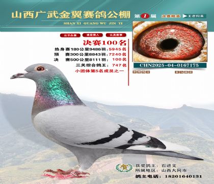 廣武金翼決賽100名