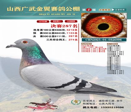 廣武金翼決賽287名