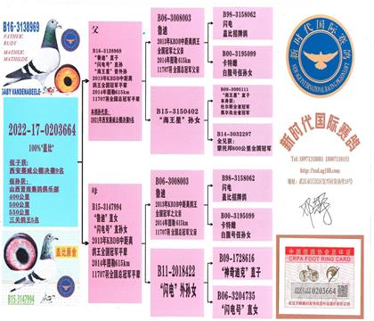 父親血統(tǒng)書